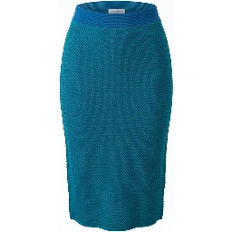 Blue Silk Women Skirt