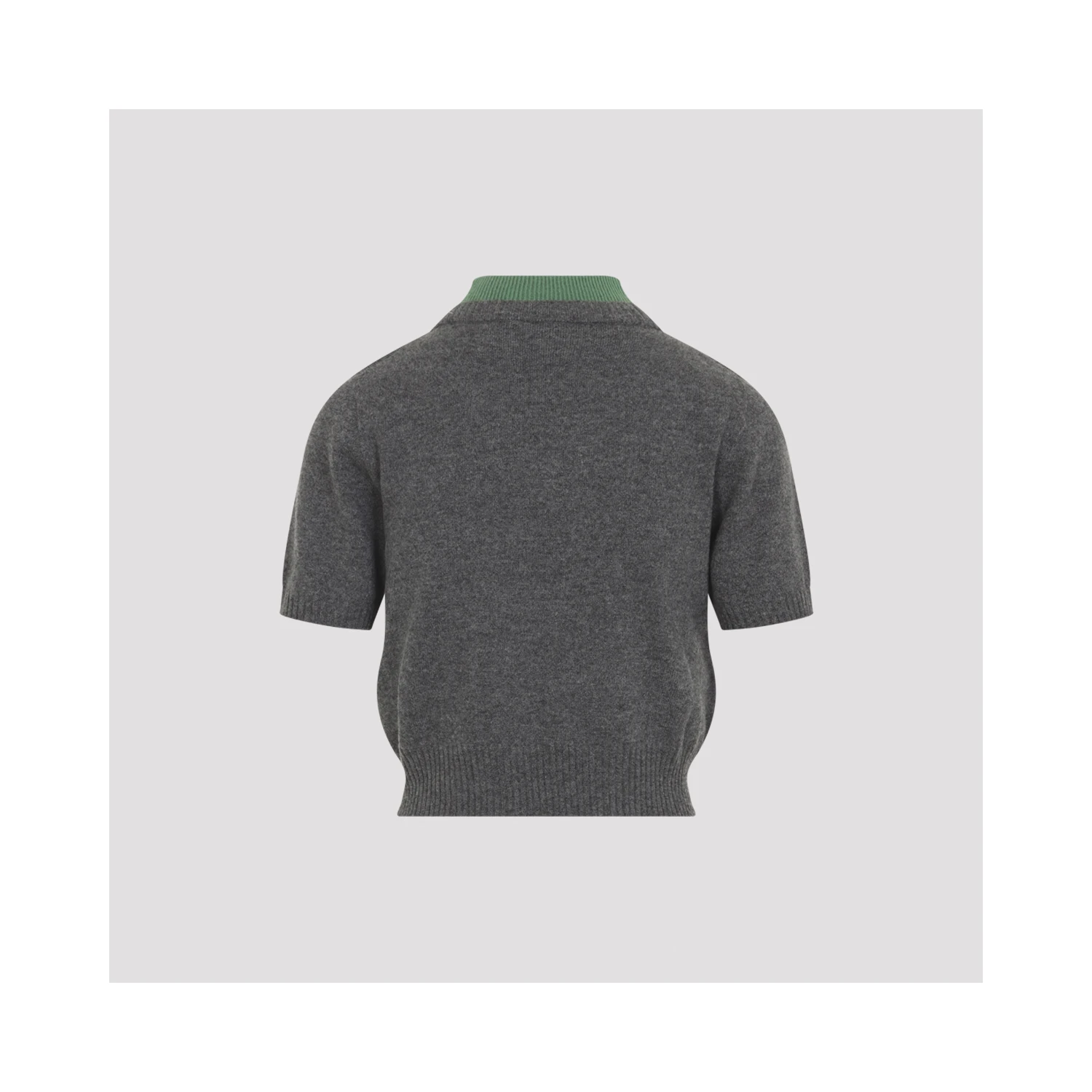 TURTLENECK