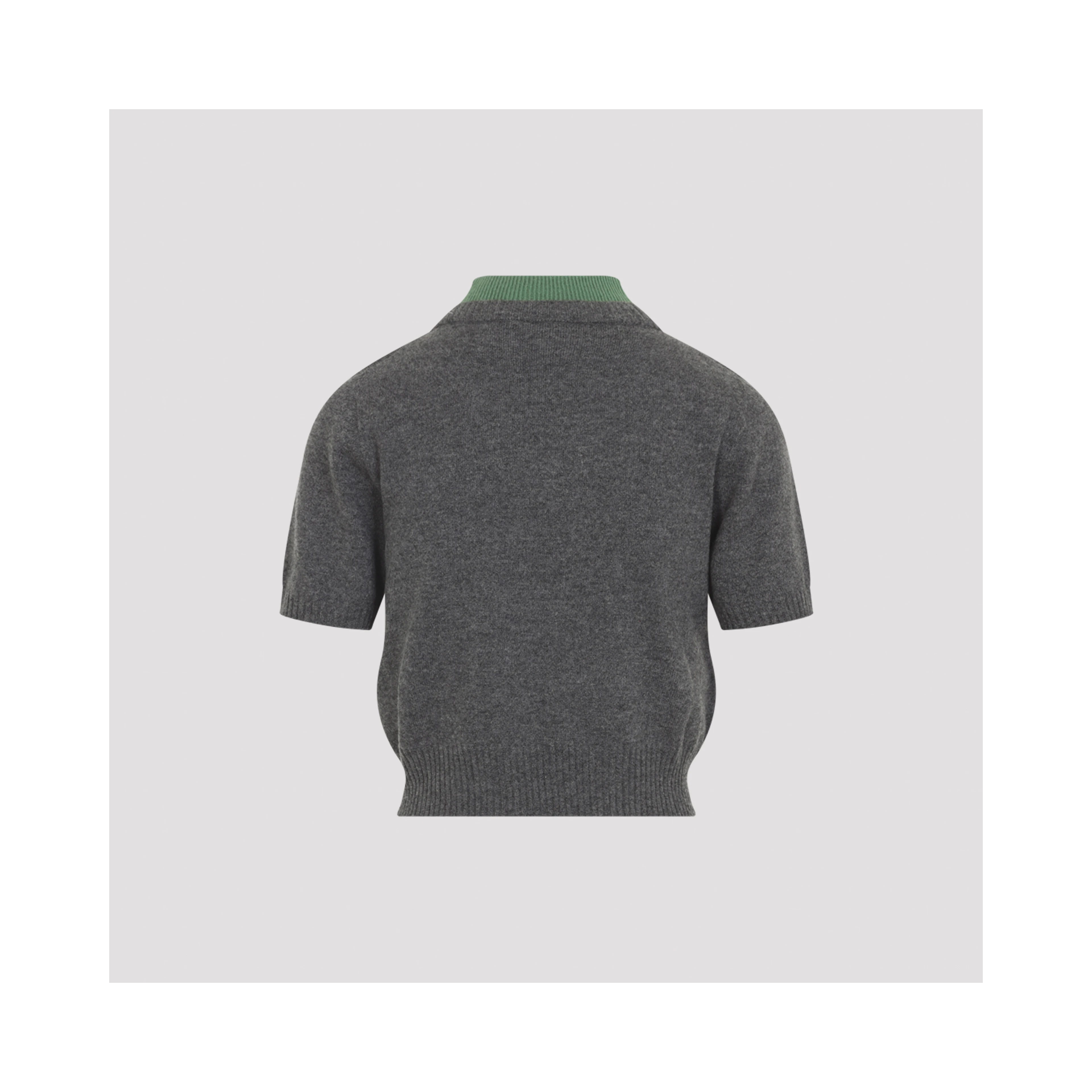 TURTLENECK
