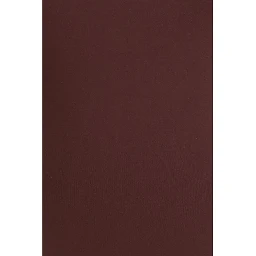 Bordeaux Polyamide One-Piece Swimsuit