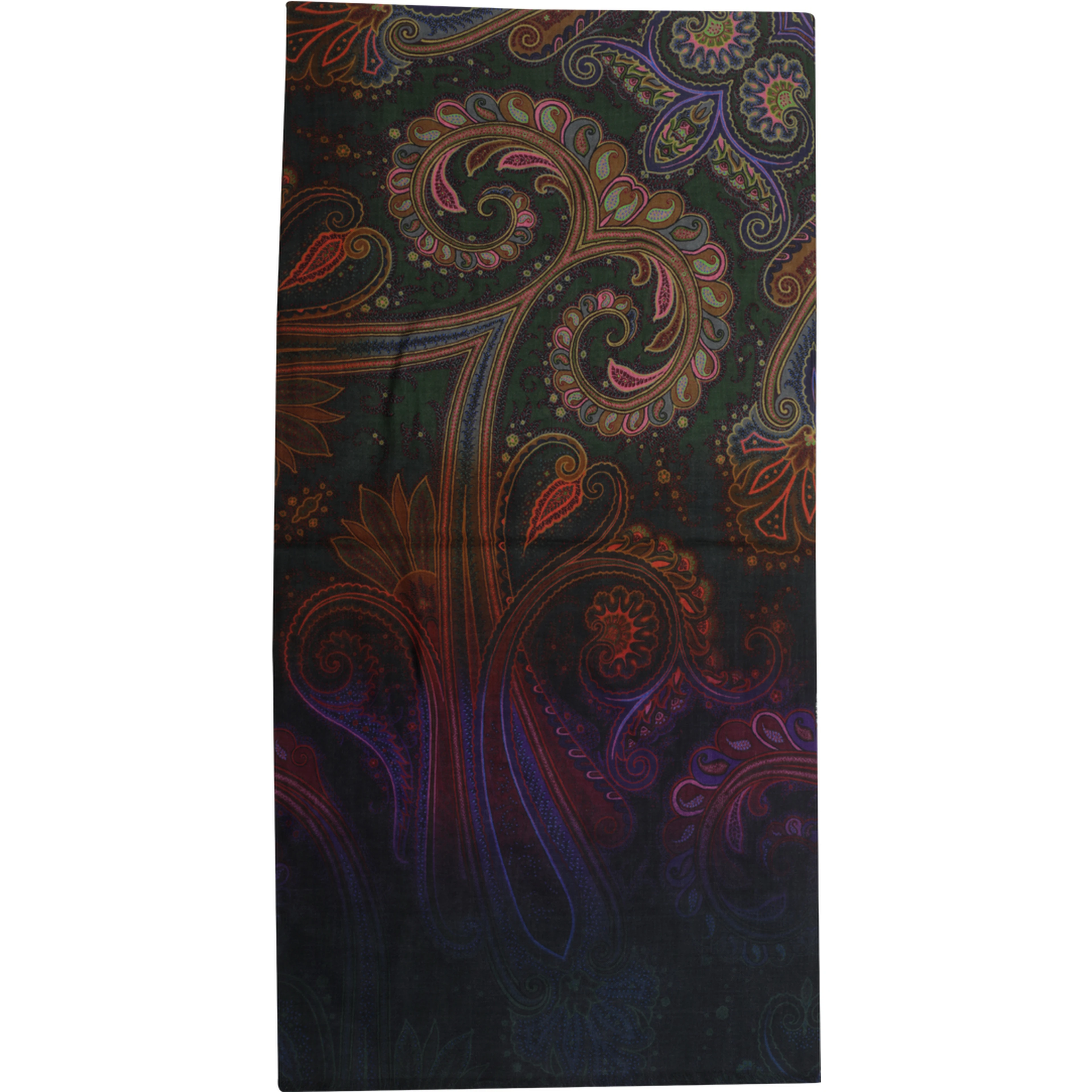 Etro Scarfs