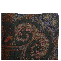 Etro Scarfs