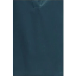 Blue Silk Shirt