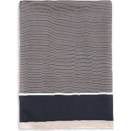 Blue Silk Scarf