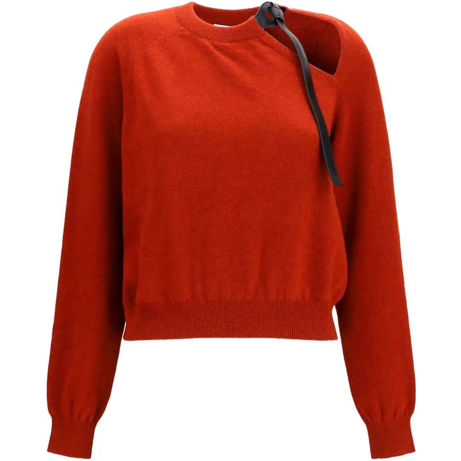 Multicolor Wool Oves Aries Sweatshirt