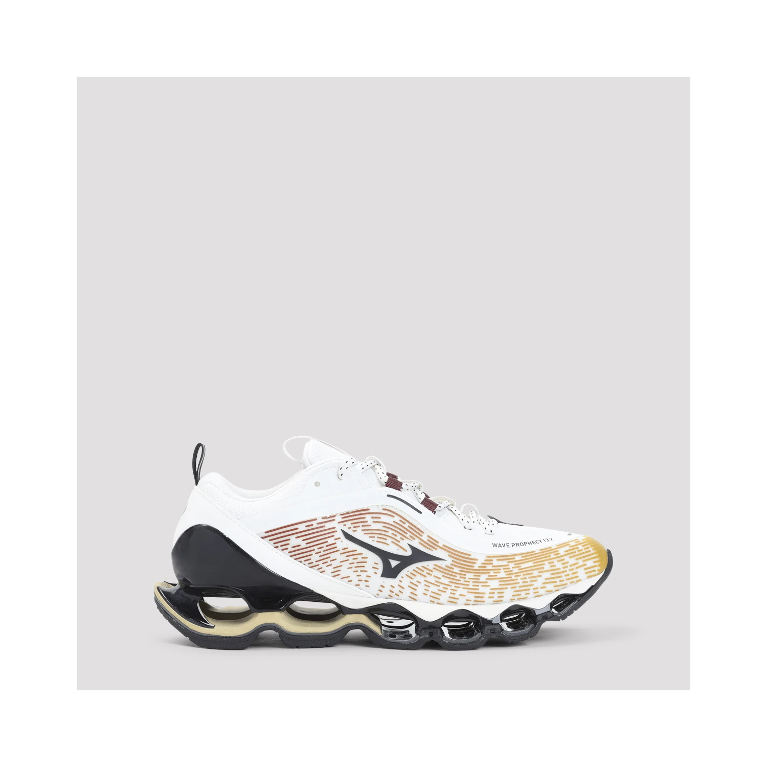 Mizuno Wave Prophecy 13.2