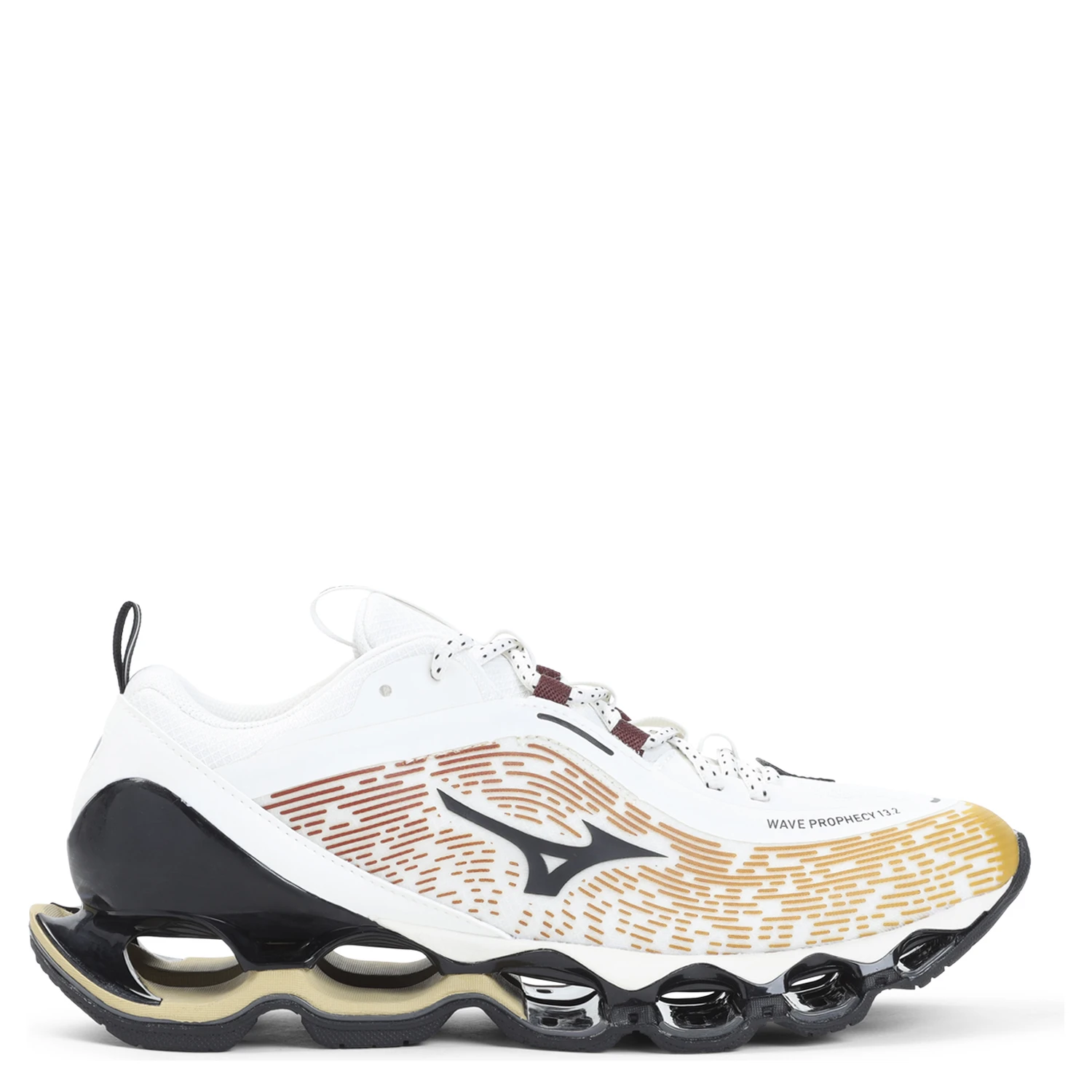 Mizuno Wave Prophecy 13.2