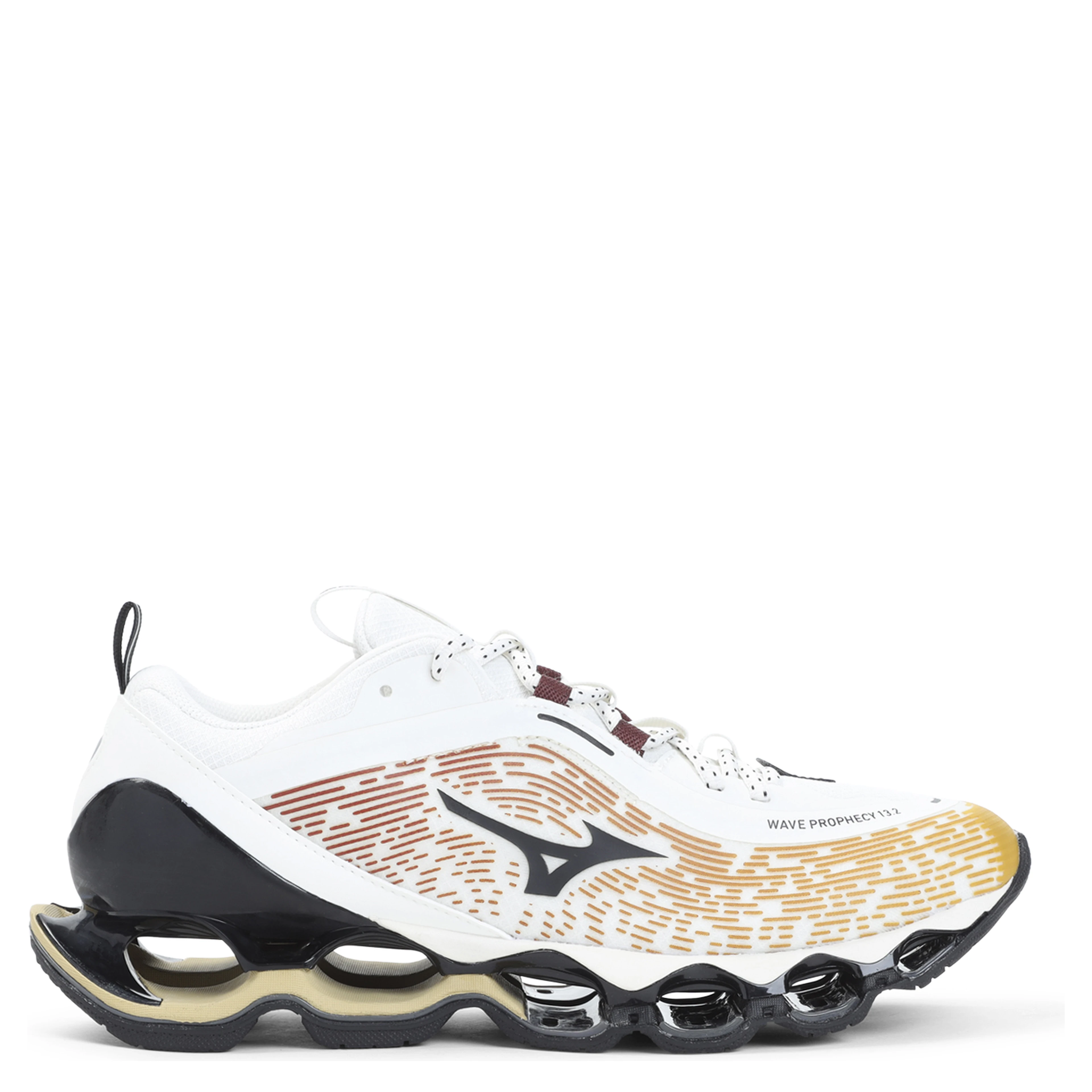 Mizuno Wave Prophecy 13.2