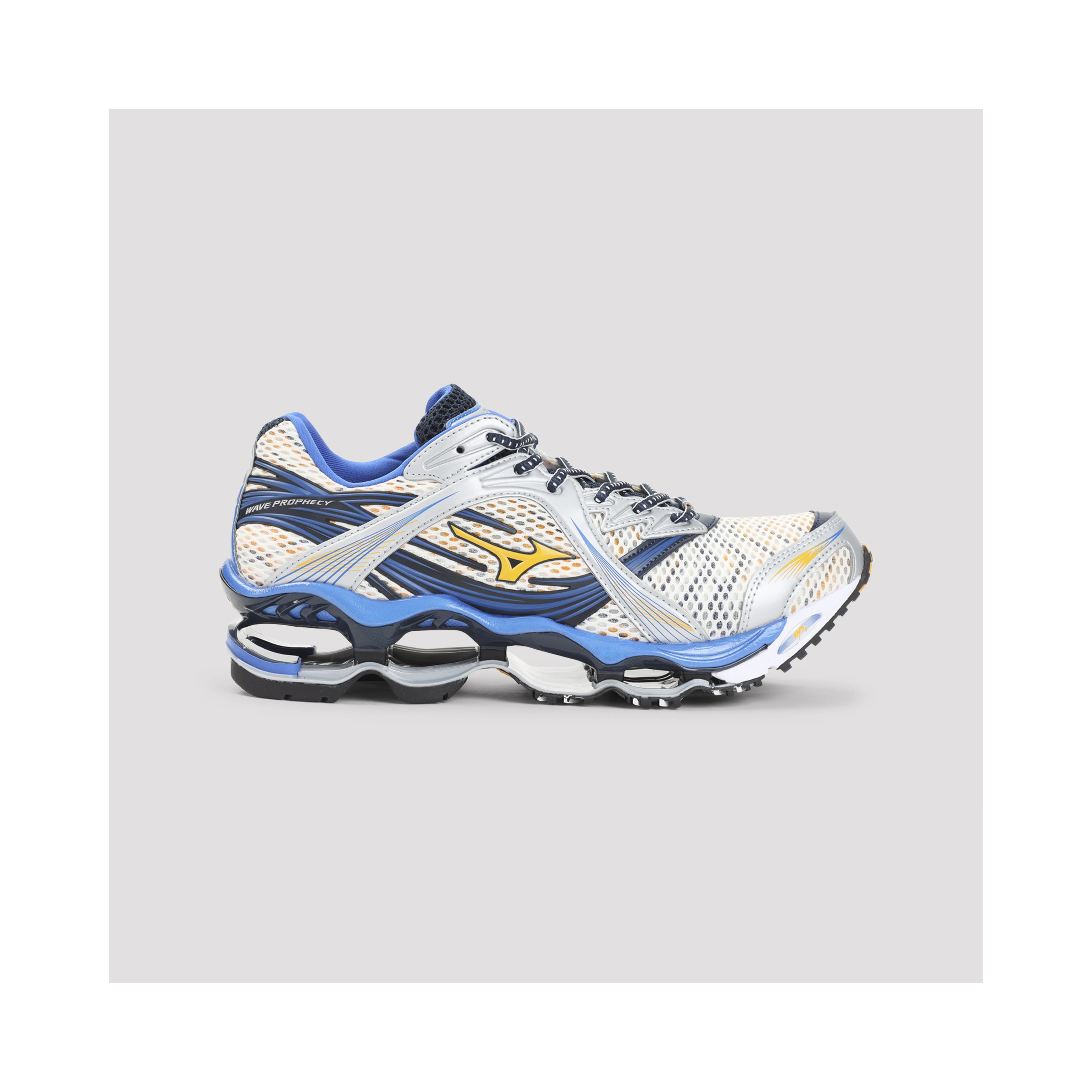 Mizuno Wave Prophecy 1