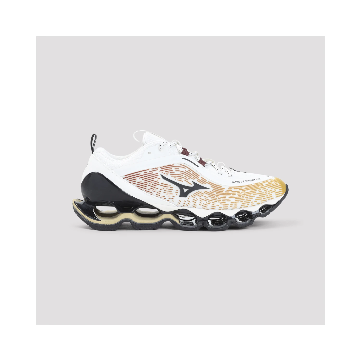 Mizuno Wave Prophecy 13.2