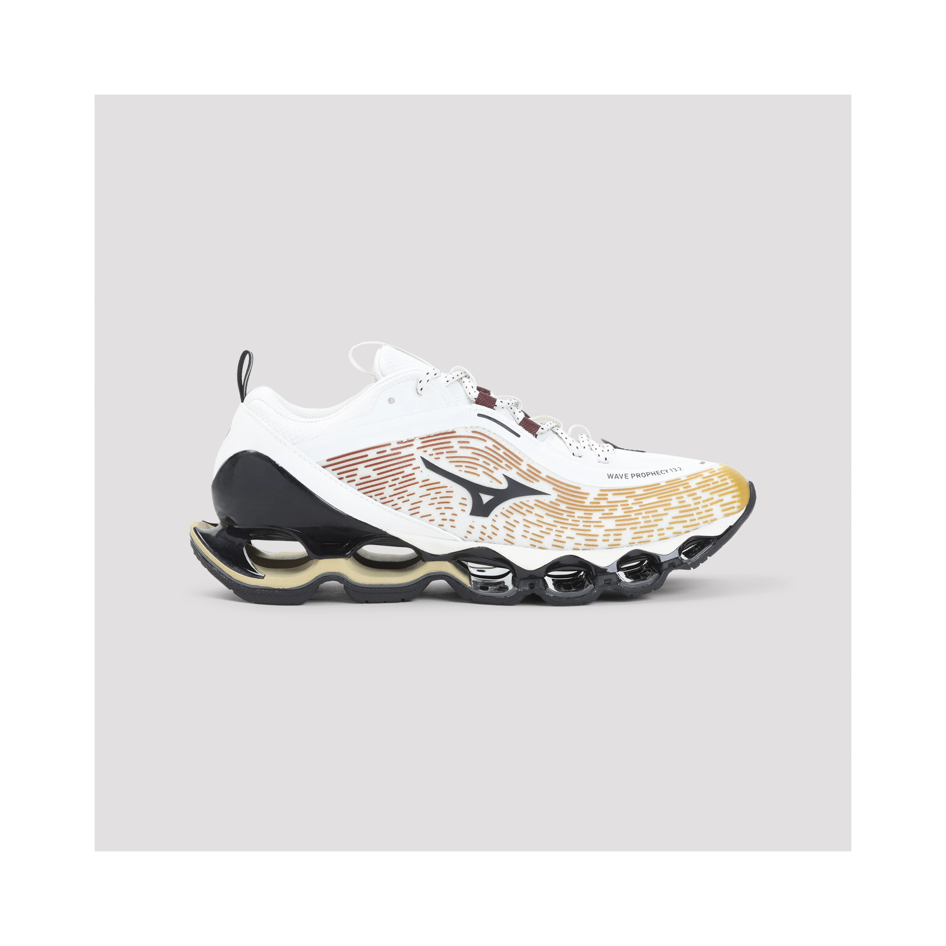 Mizuno Wave Prophecy 13.2
