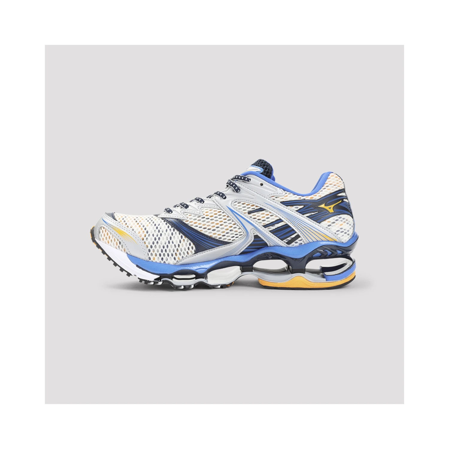 Mizuno Wave Prophecy 1