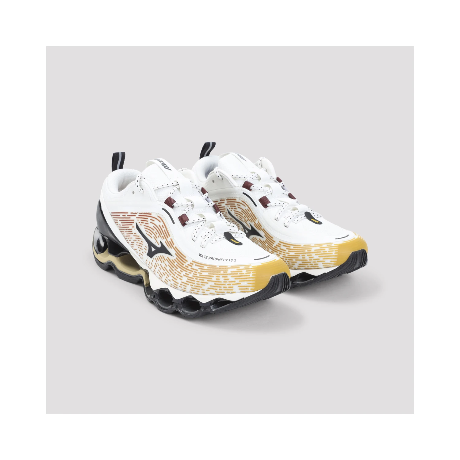 Mizuno Wave Prophecy 13.2