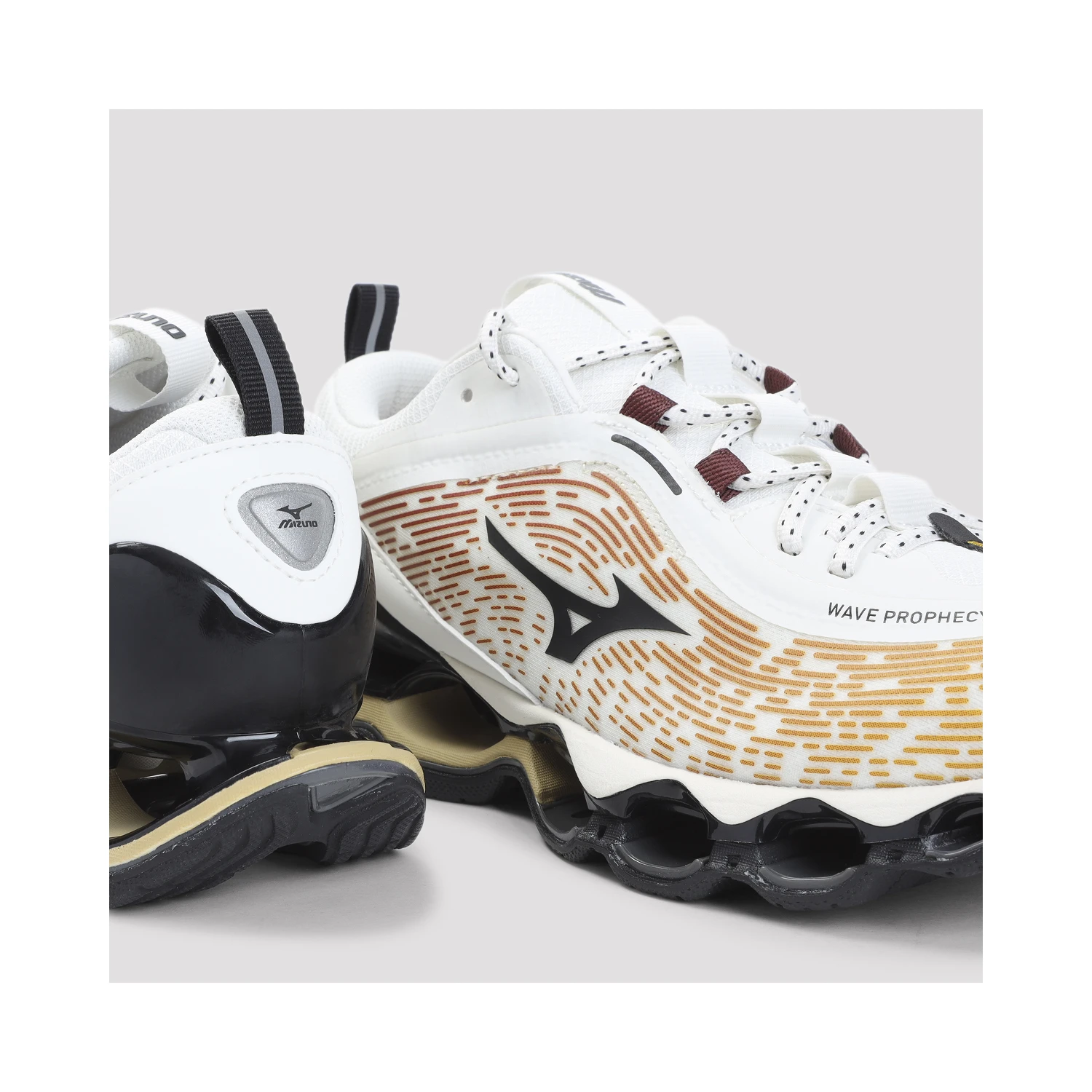 Mizuno Wave Prophecy 13.2