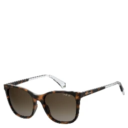 Brown Plastic Sunglasses