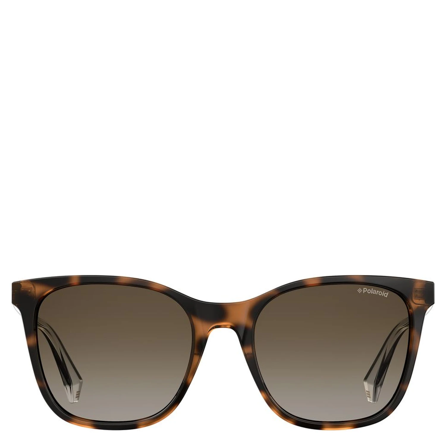 Brown Plastic Sunglasses