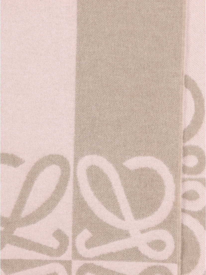 Loewe Scarfs