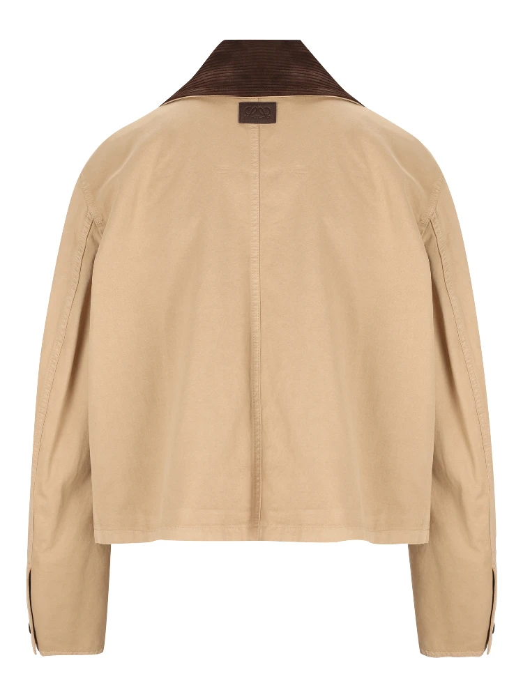 Loewe Jackets Beige alternative