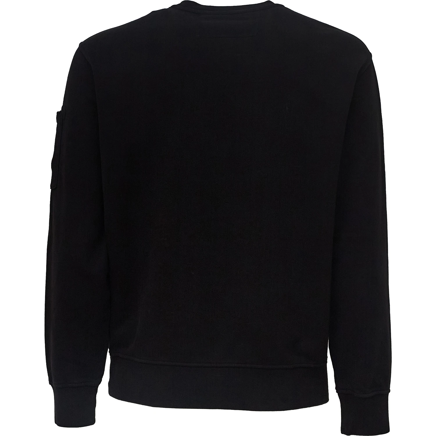 Brushed And Emerized Diagonal Fleece Crewneck Lens Sweatshirt