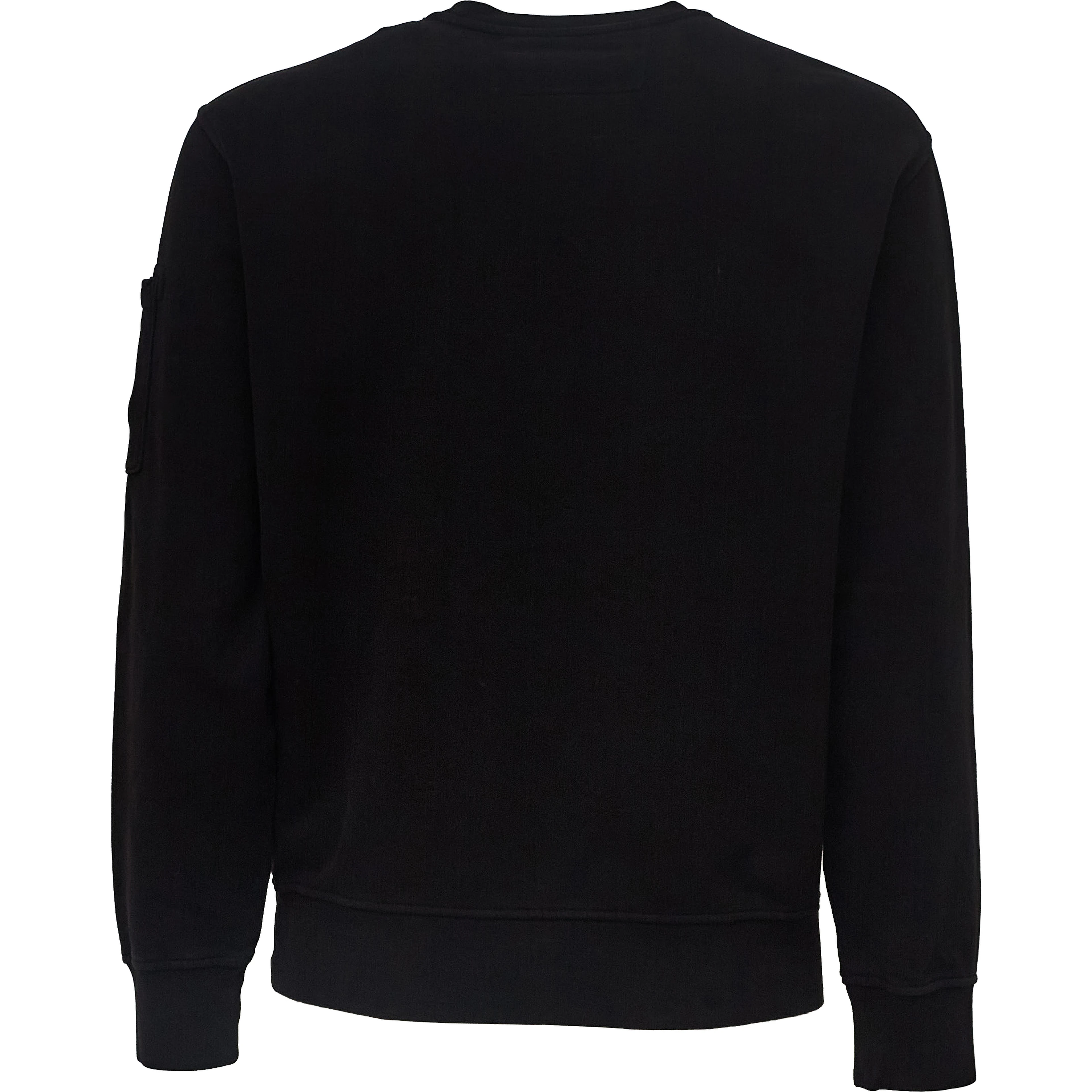 Brushed And Emerized Diagonal Fleece Crewneck Lens Sweatshirt