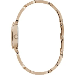 Multicolor Stainless Steel Dress Watch
