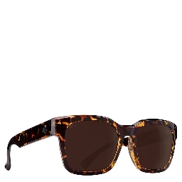 Brown Resin Sunglasses