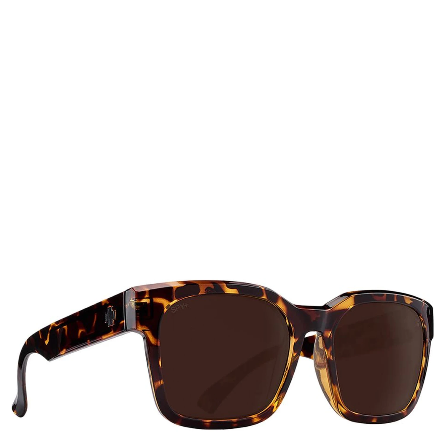 Brown Resin Sunglasses