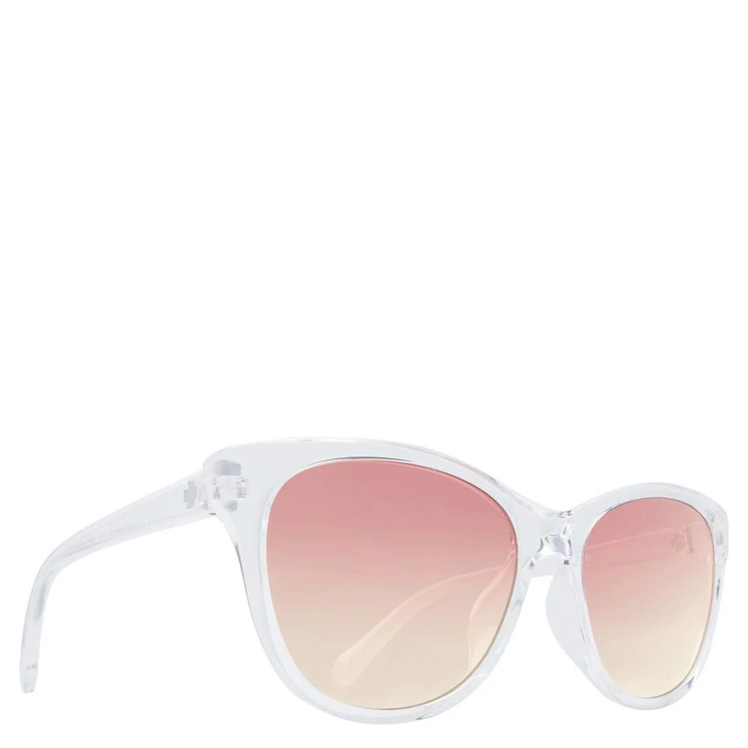 Transparent Plastic Sunglasses