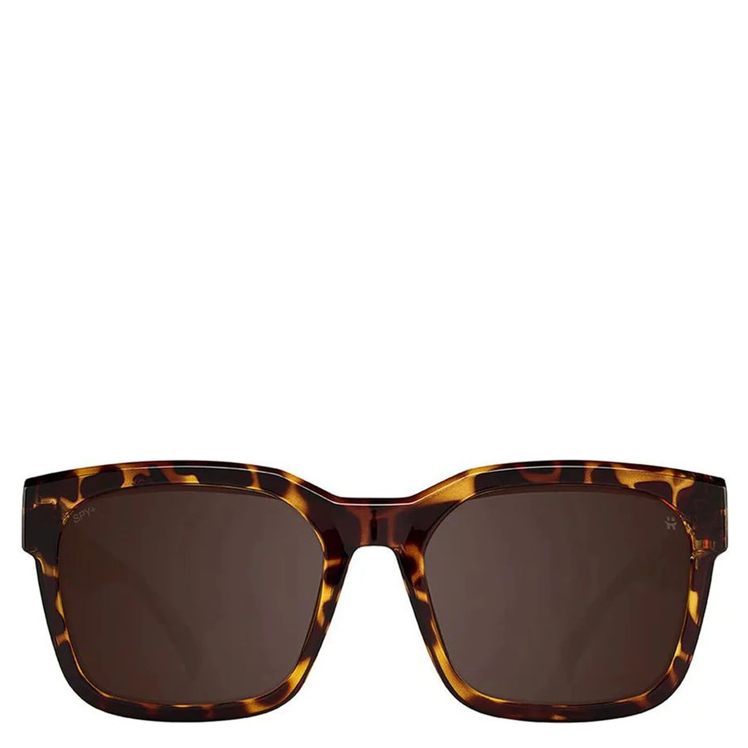 Brown Resin Sunglasses