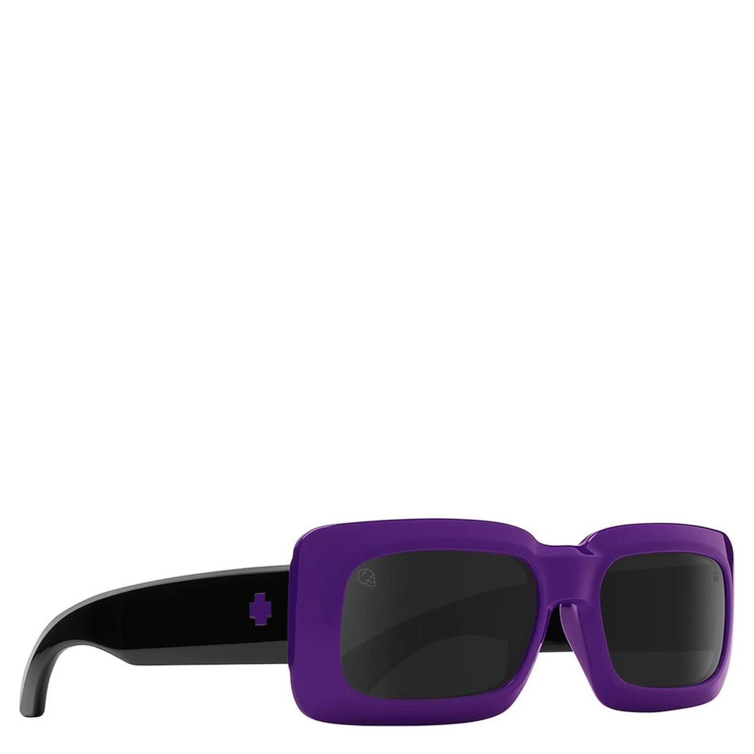 Purple Resin Sunglasses