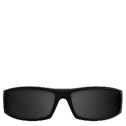 Black Resin Sunglasses