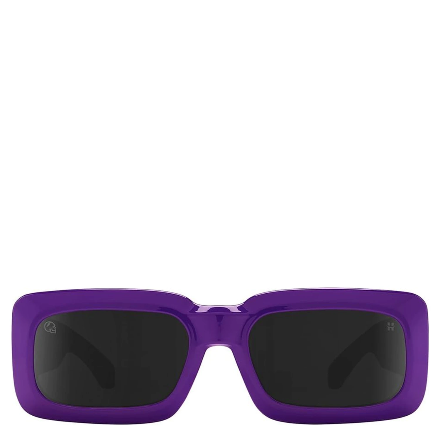 Purple Resin Sunglasses