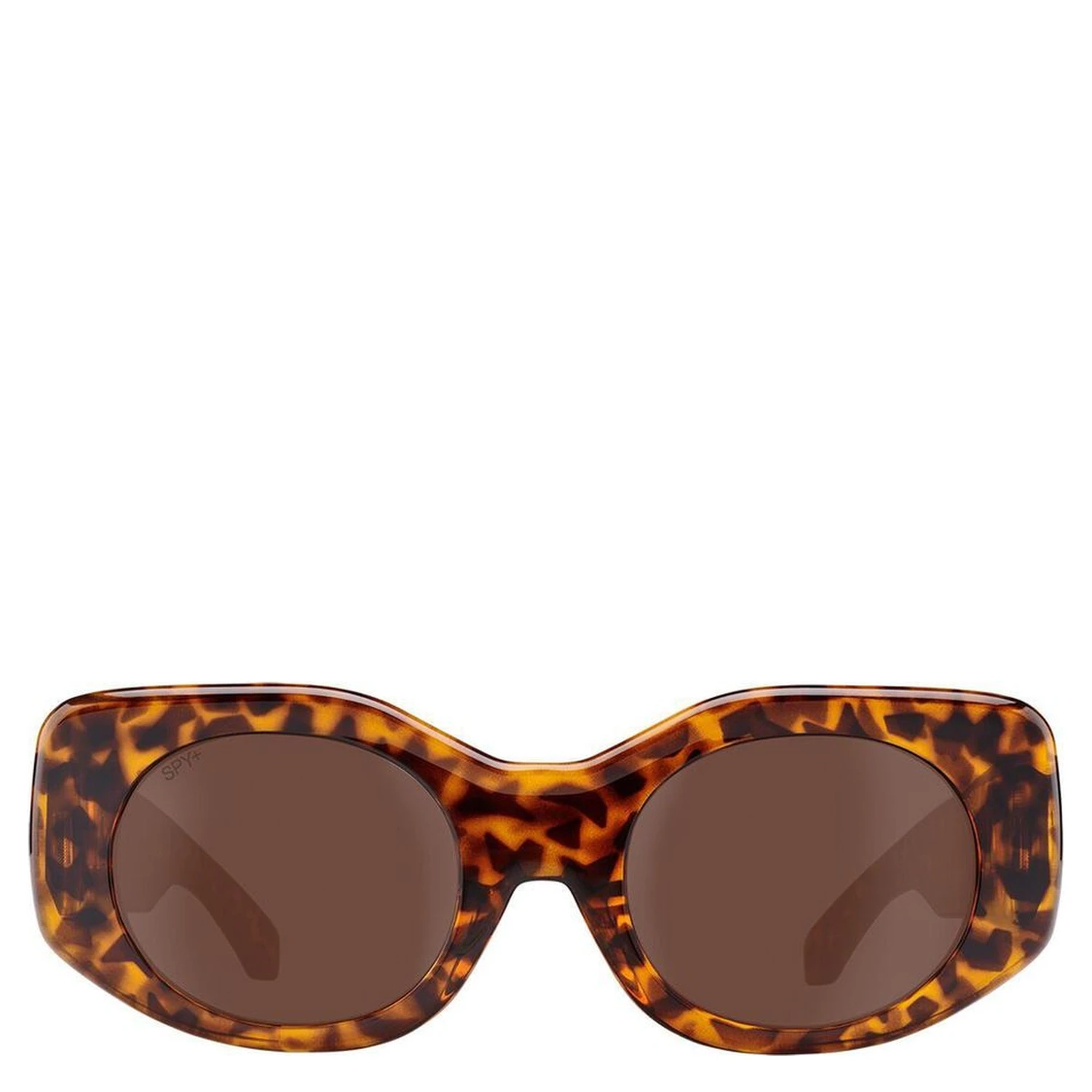 Brown Resin Sunglasses