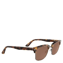 Brown Resin Sunglasses