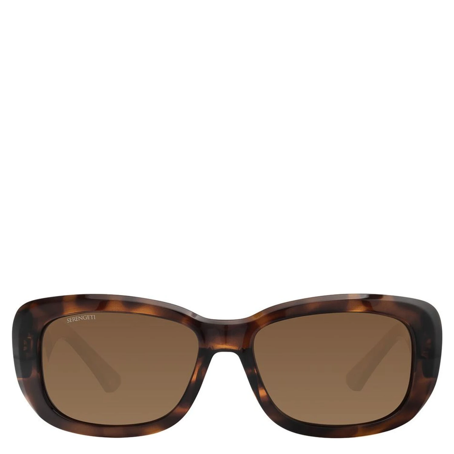 Brown Nylon Sunglasses