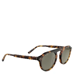Brown Resin Sunglasses