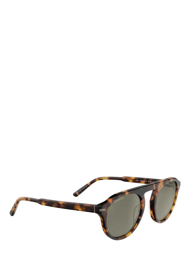 Brown Resin Sunglasses