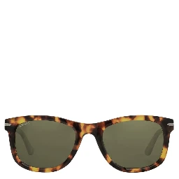 Brown Resin Sunglasses