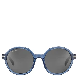 Blue Resin Sunglasses