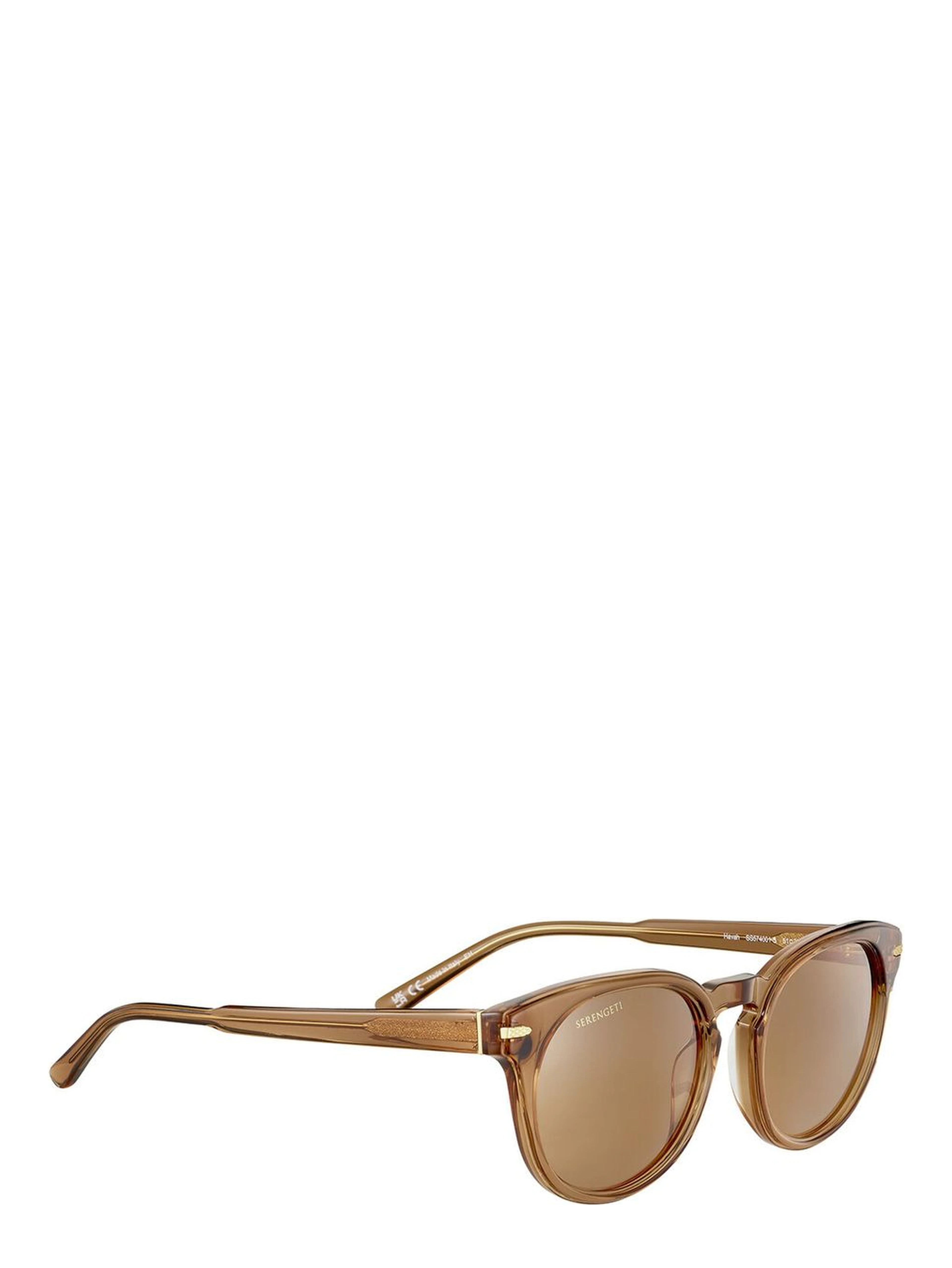 Brown Resin Sunglasses