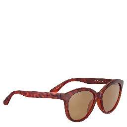 Brown Resin Sunglasses