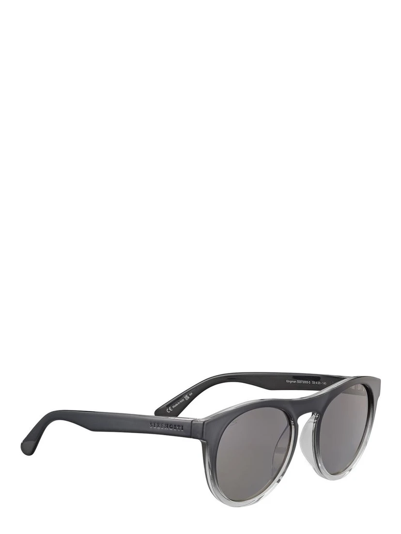 Black Resin Sunglasses