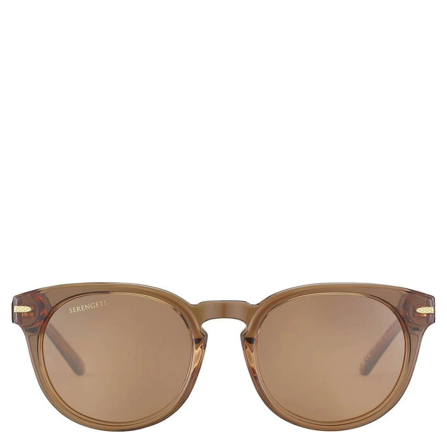 Brown Resin Sunglasses