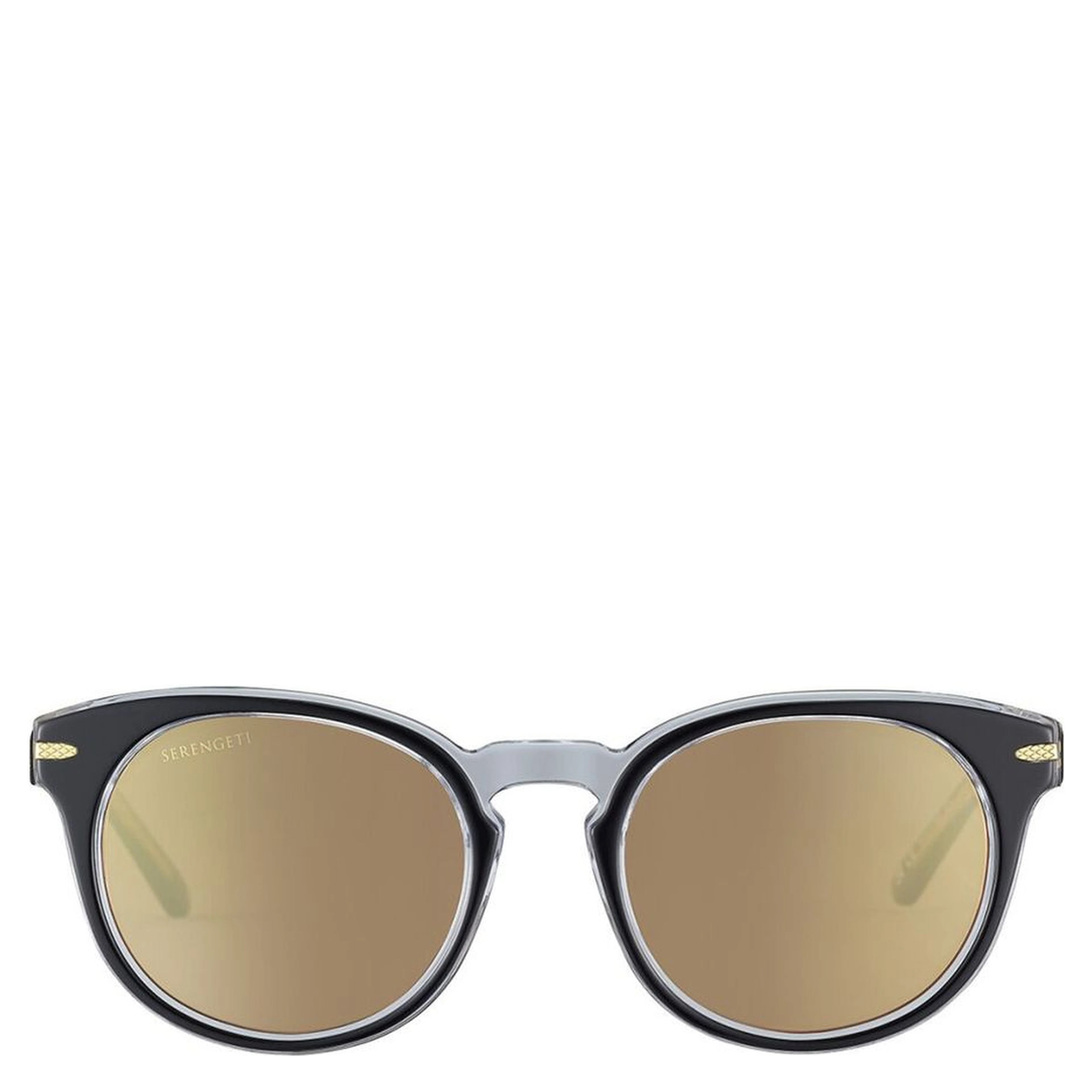 Black Resin Sunglasses