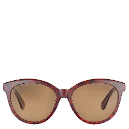 Brown Resin Sunglasses
