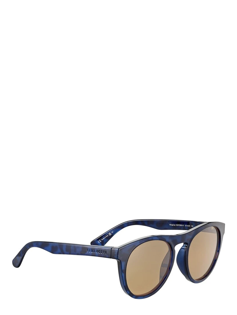 Brown Resin Sunglasses