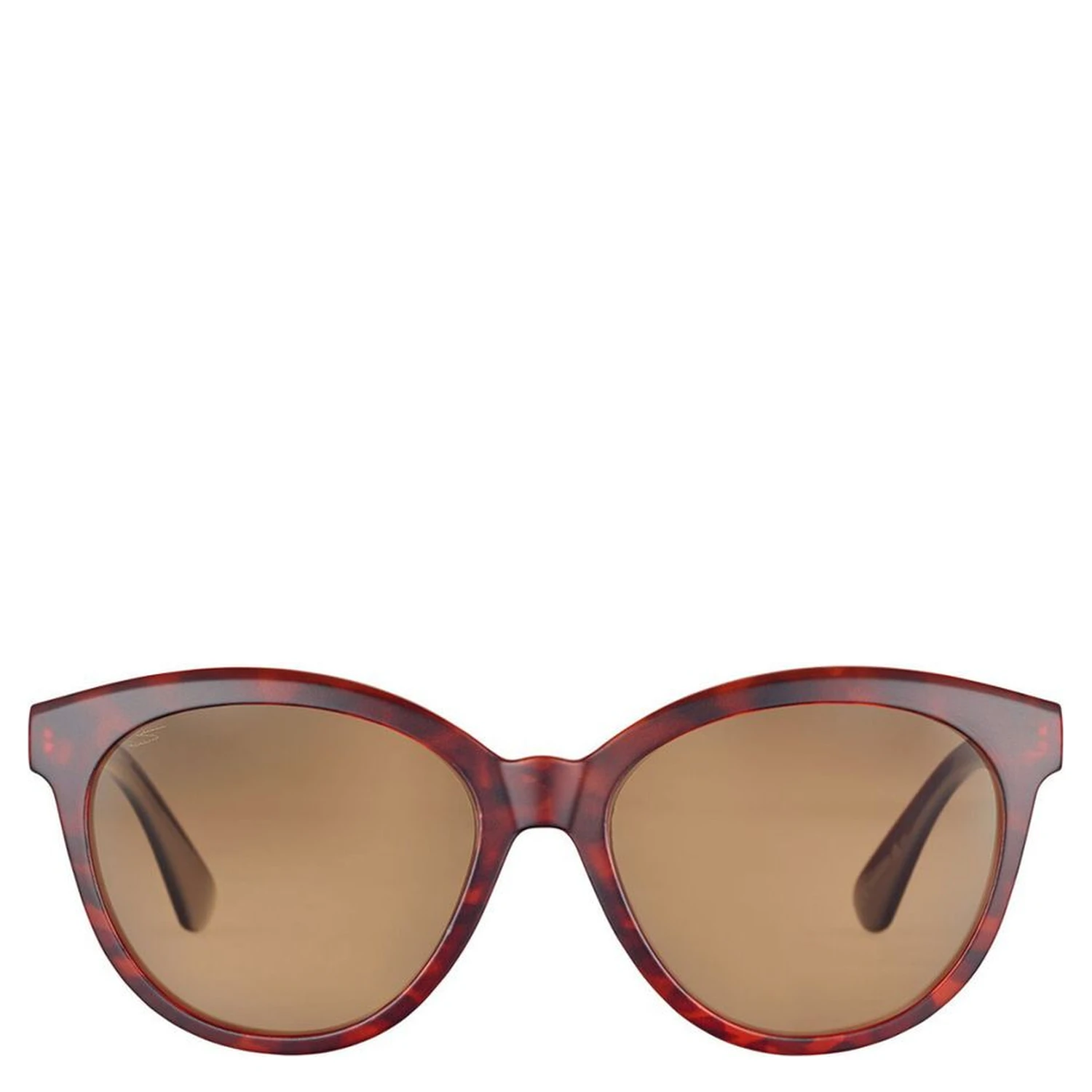 Brown Resin Sunglasses
