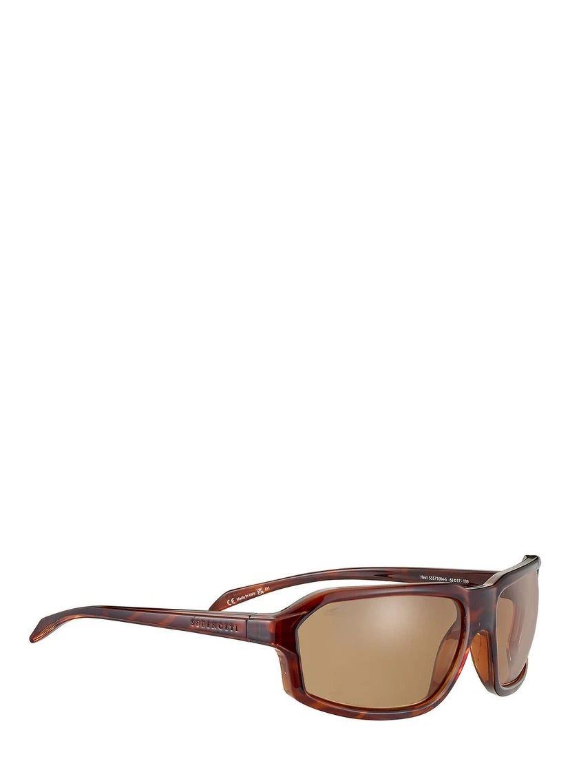 Brown Resin Sunglasses