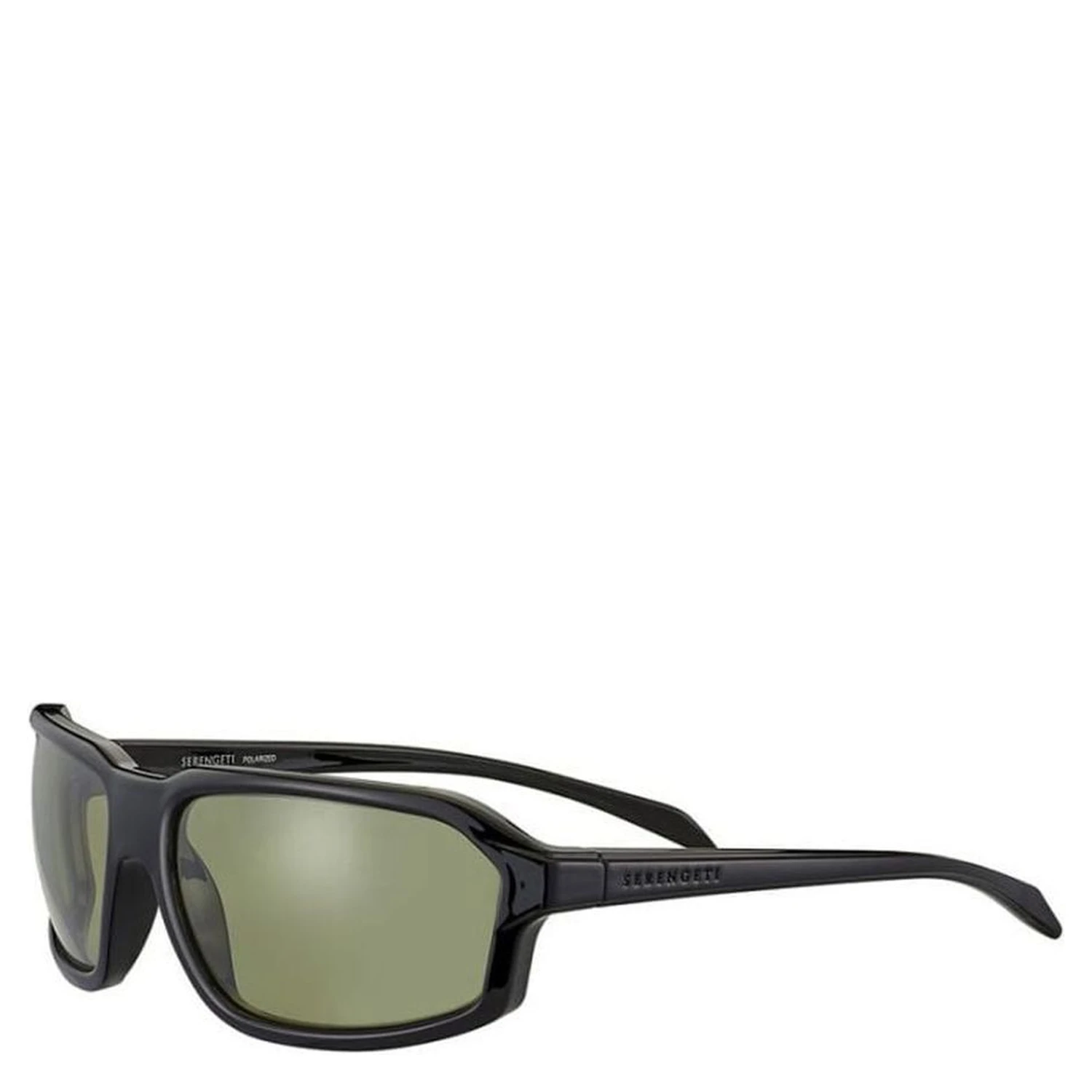 Black Resin Sunglasses