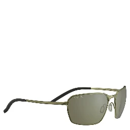 Brown Plastic Sunglasses